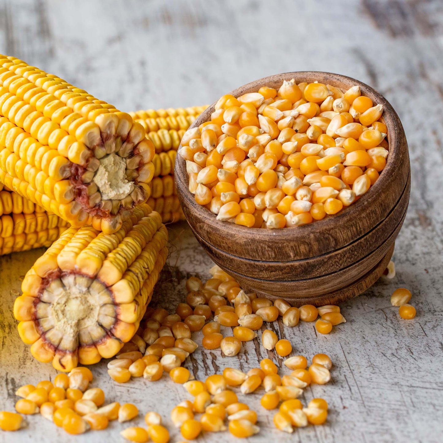 Grains de maïs à éclater Yupik - 1 kg