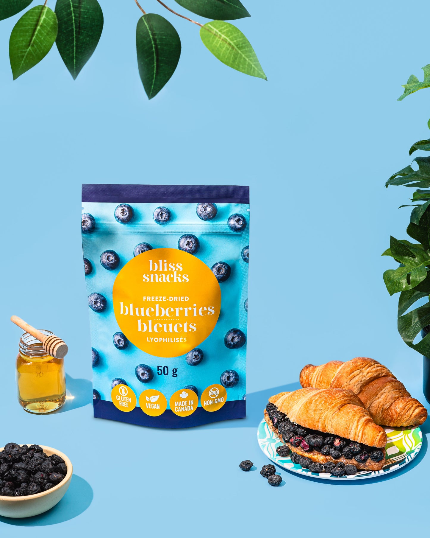 Lot de 4 sachets de fruits lyophilisés myrtille Bliss Snacks
