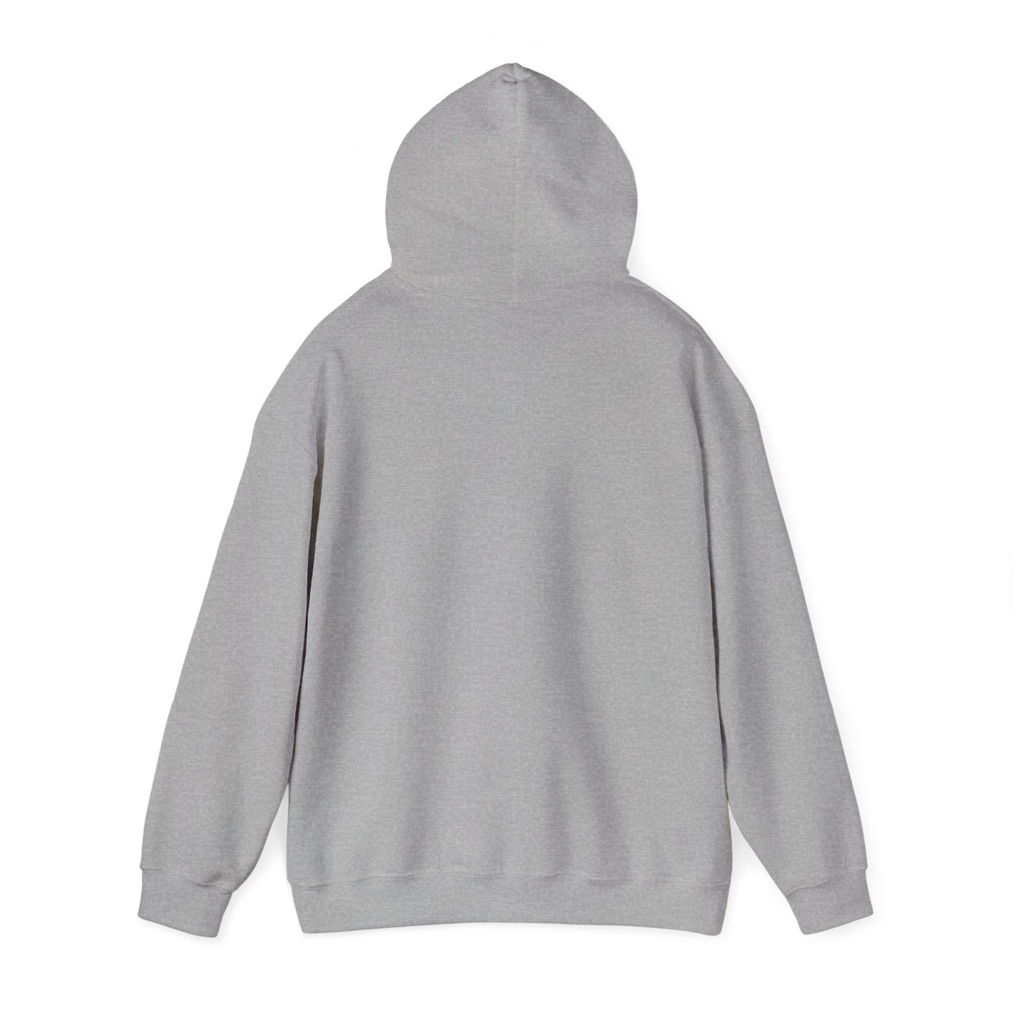 Neurospicy "ERROR: Brain is buffering" Retro Computer Alert Graphic Hoodie