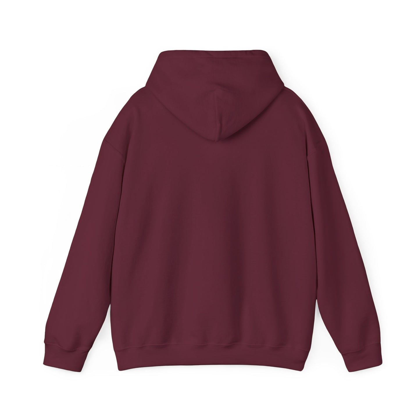 Neurospicy "ERROR: Brain is buffering" Retro Computer Alert Graphic Hoodie