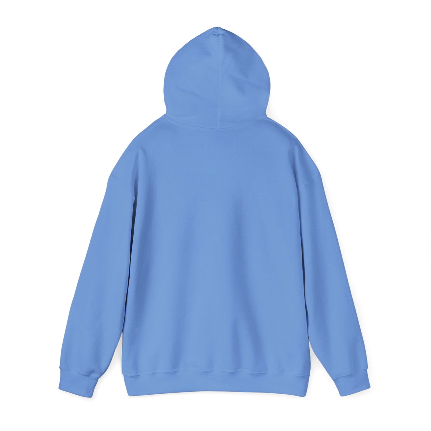Neurospicy "ERROR: Brain is buffering" Retro Computer Alert Graphic Hoodie