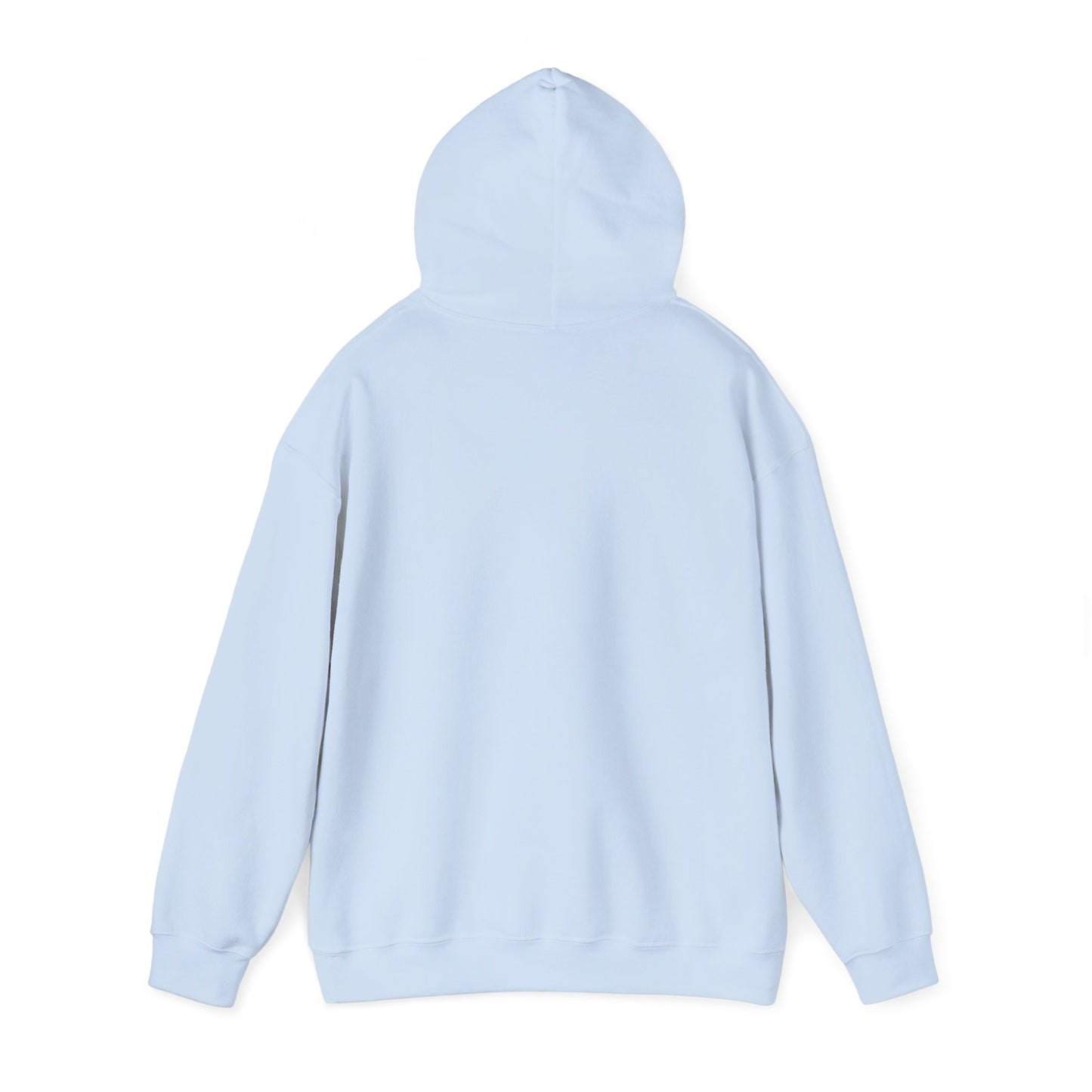 Neurospicy "ERROR: Brain is buffering" Retro Computer Alert Graphic Hoodie