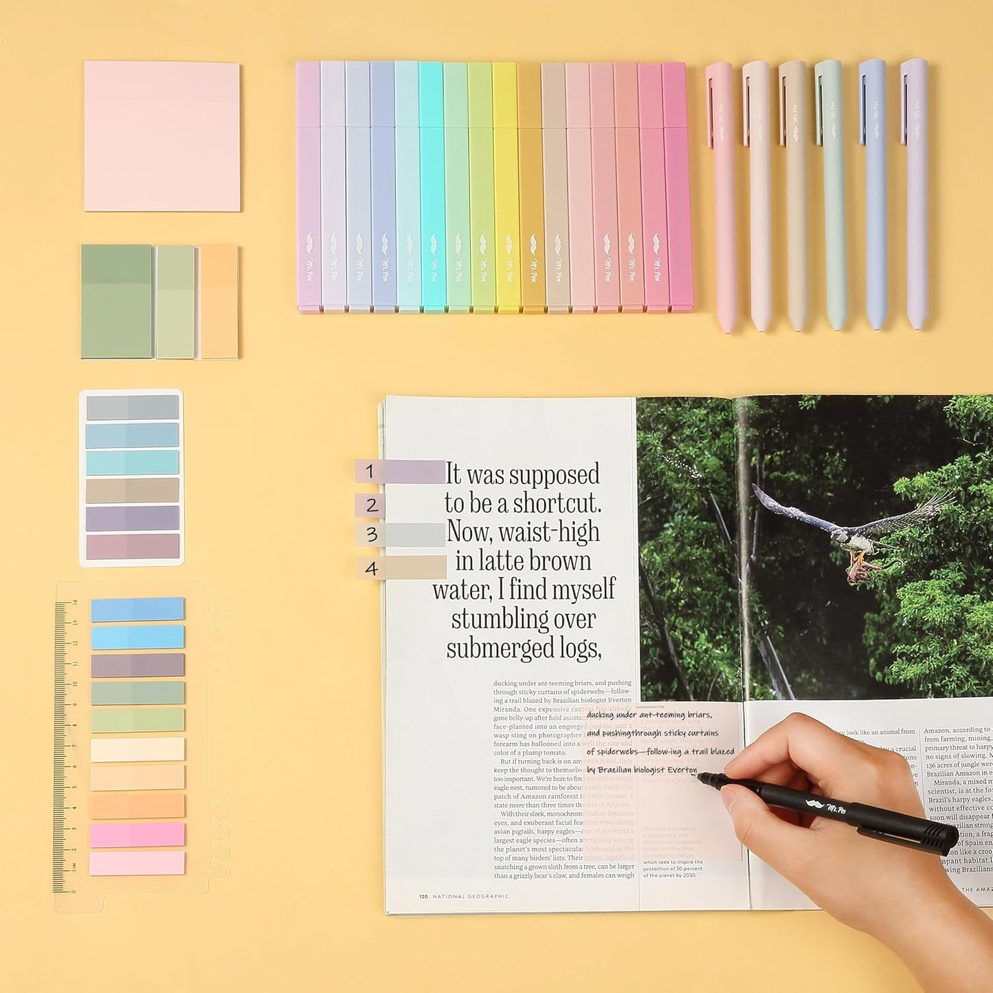 Mr. Pen- Aesthetic Book Annotation Kit, Aesthetic Highlighters and Gel Pens, Transparent Sticky Notes, Transparent Sticky Tabs for Books, No Bleed Highlighters for Bible Pages No Bleed