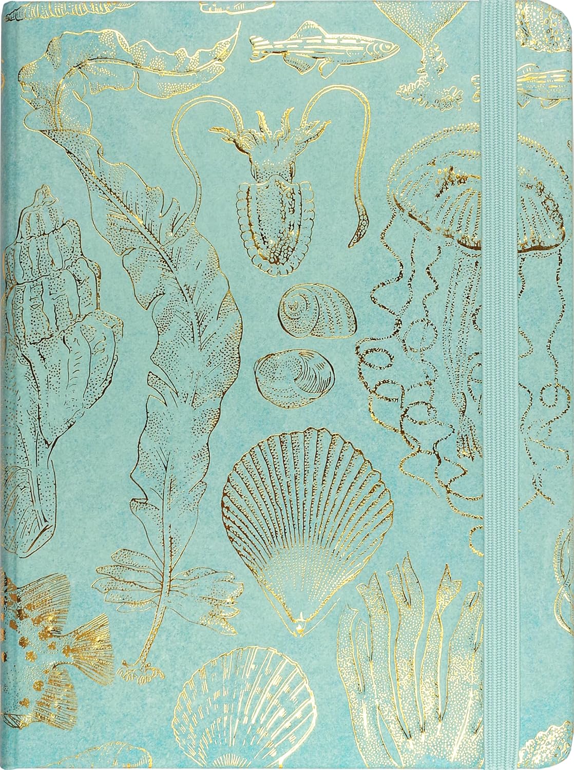 Carnet de croquis de la vie marine (Journal, Cahier)