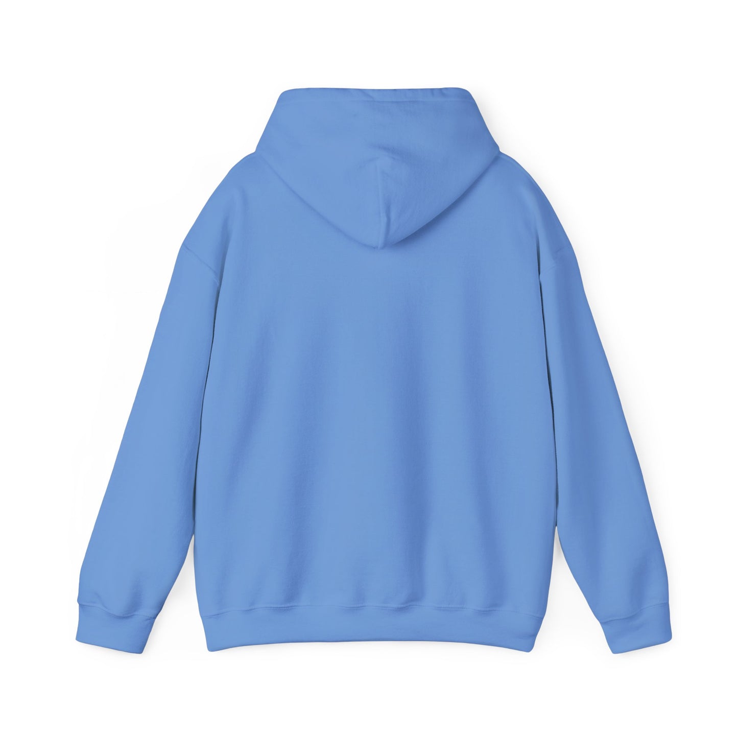 "Proud Member of the Slow Readers Club" Sloth Reading Hoodie