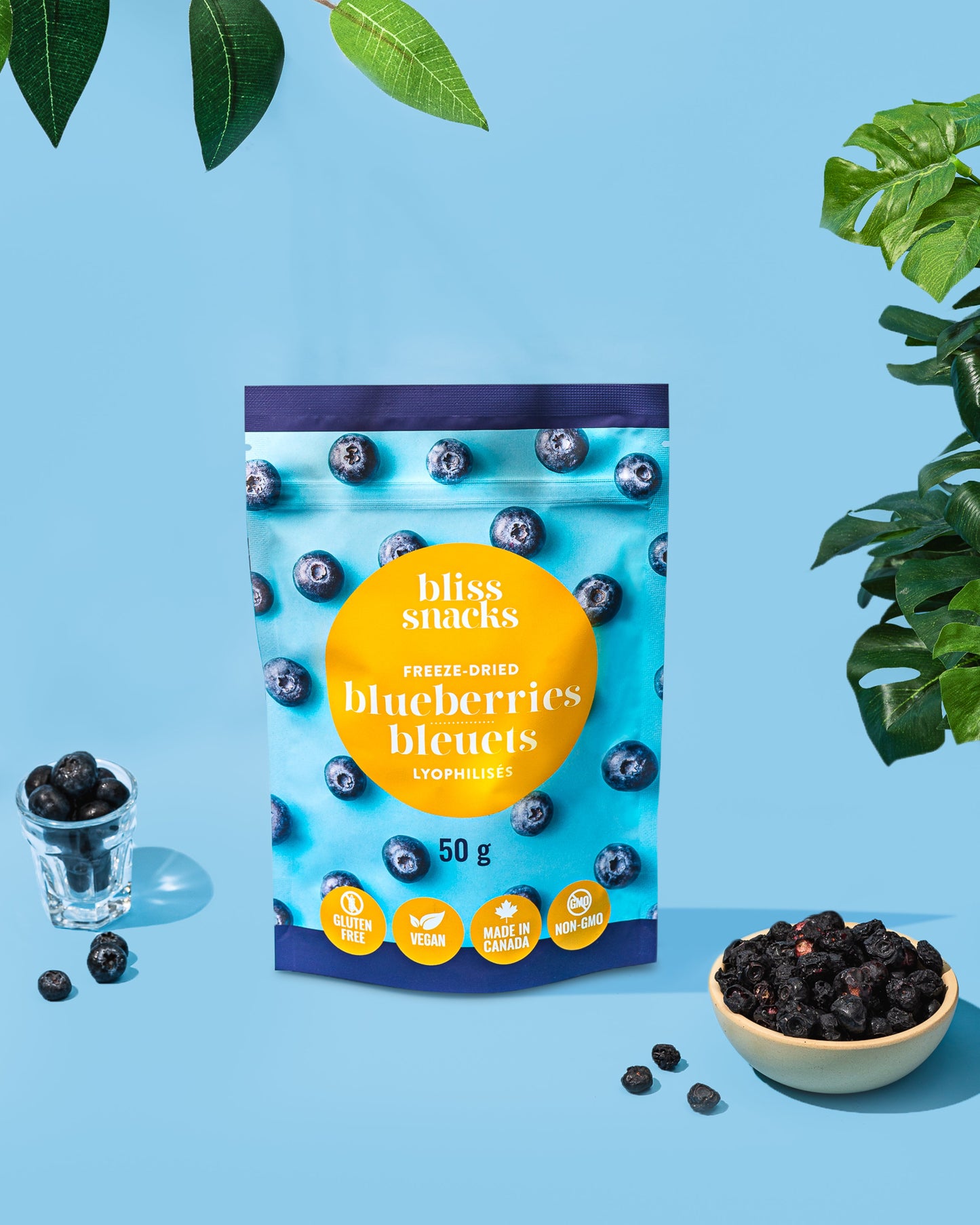 Lot de 4 sachets de fruits lyophilisés myrtille Bliss Snacks