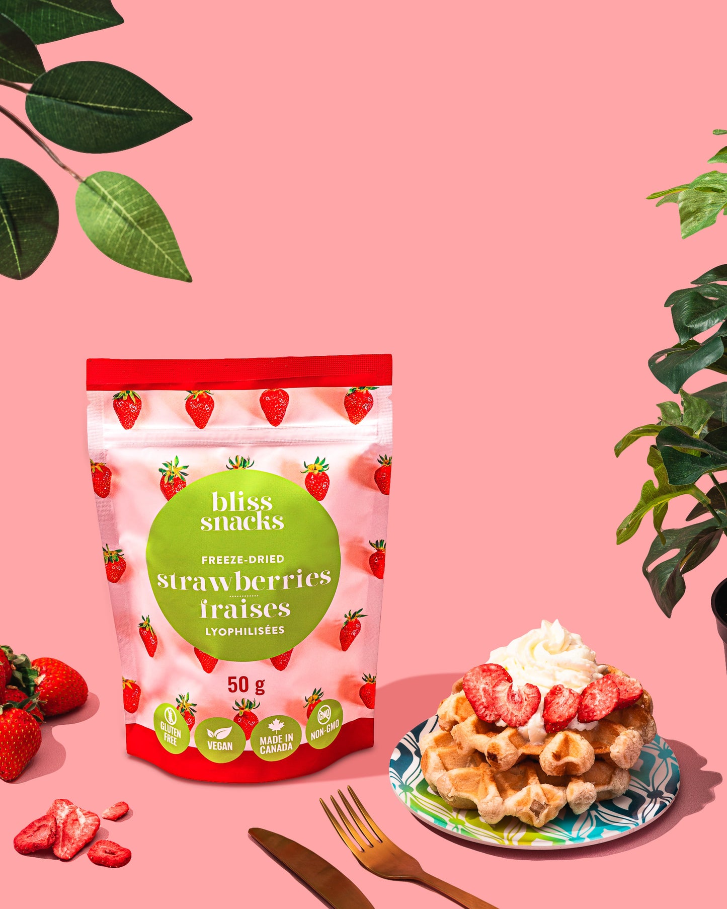 Tranches de fraises lyophilisées Bliss Snacks