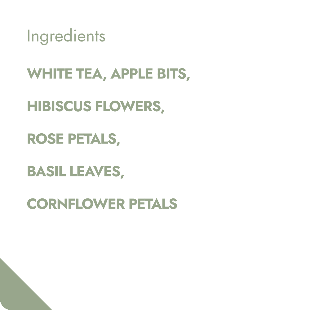 FRUITY FIGS & PINEAPPLE TEABREWER